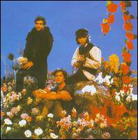 O Descobrimento Do Brasil